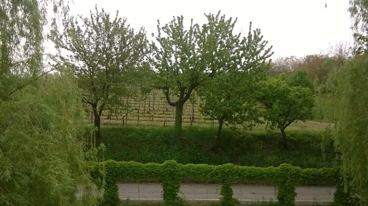 Agriturismo Cascina Barin Roddi Ngoại thất bức ảnh
